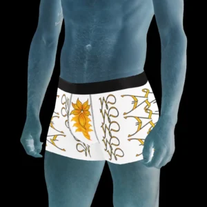 Men's boxer briefs white 255255255 (USA)