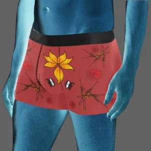 Men's boxer briefs 3P brown 165042042 (USA)