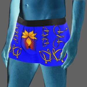 Men's boxer briefs (with waistband) blue 000000255 (USA)