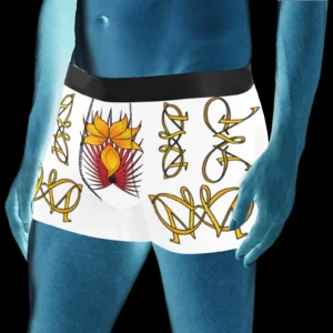 Men's boxer briefs (with waistband) white 255255255 (USA)