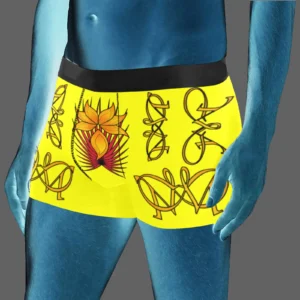Men's boxer briefs (with waistband) yellow 255255000 (USA)